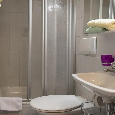 Апартаменты Haus Steinroeschen *