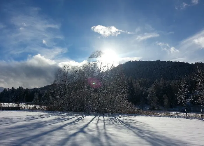 Διαμέρισμα Haus Steinroeschen *